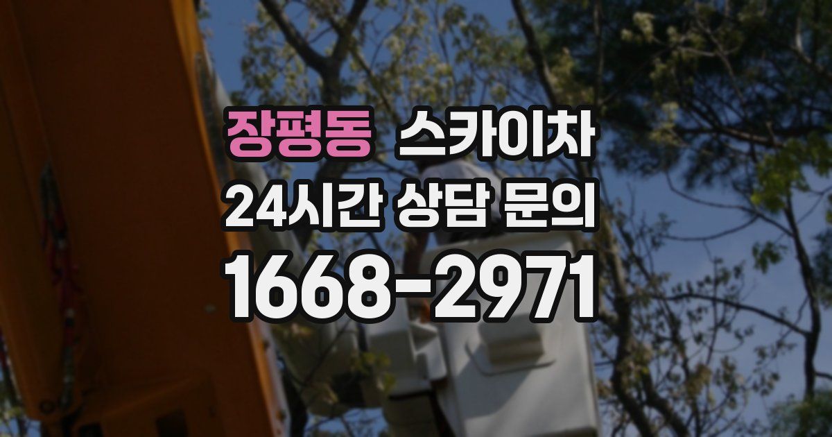 장평동 스카이차