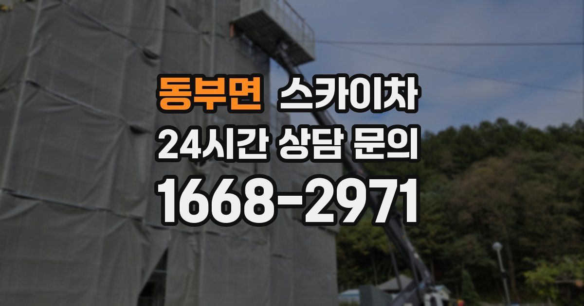동부면 스카이차