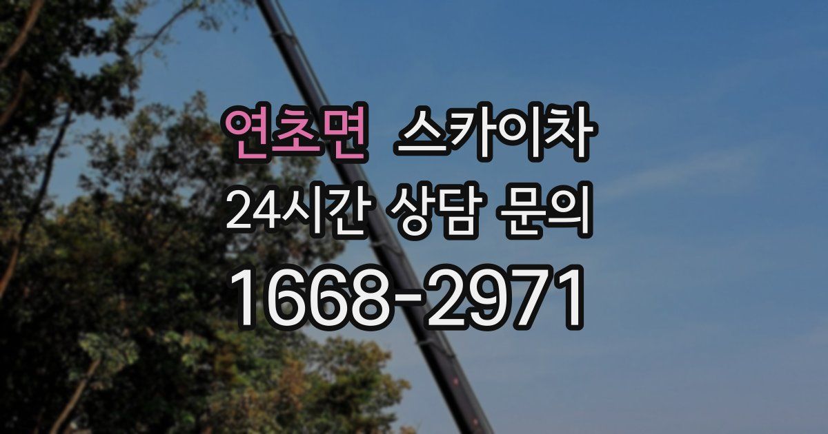 연초면 스카이차