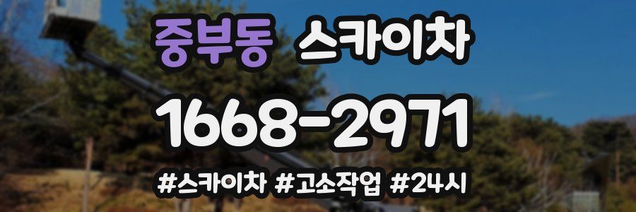 중부동 스카이차