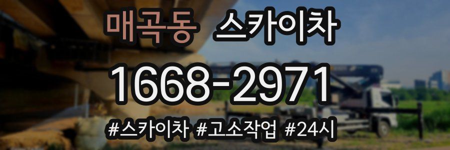 매곡동 스카이차