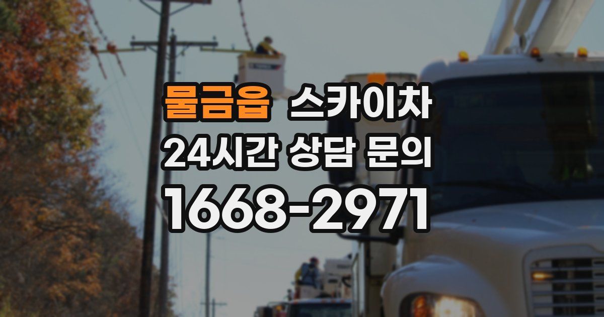 물금읍 스카이차