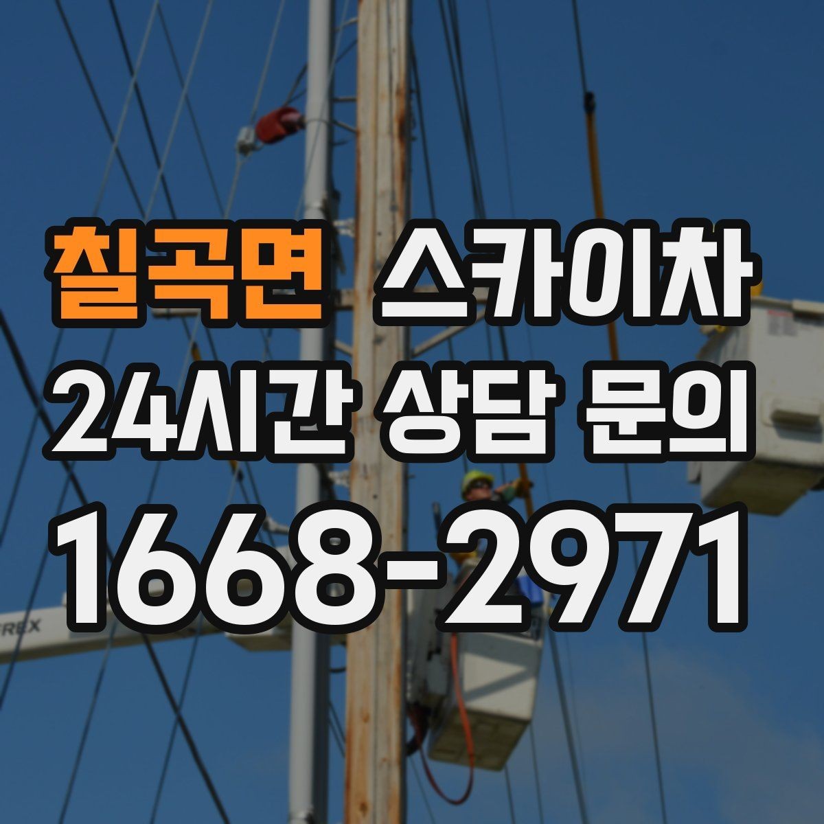 칠곡면 스카이차 나무 가지 전정 작업에 활용하는 방법