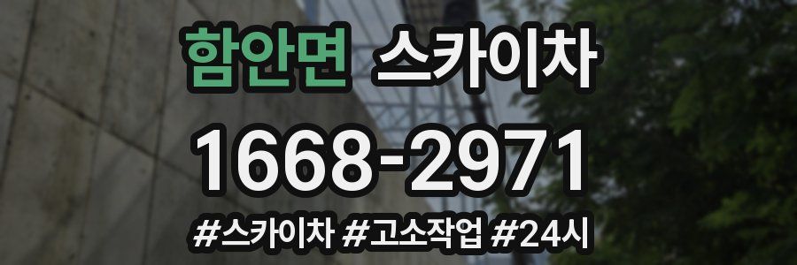 함안면 스카이차