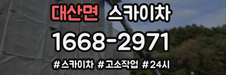 대산면 스카이차