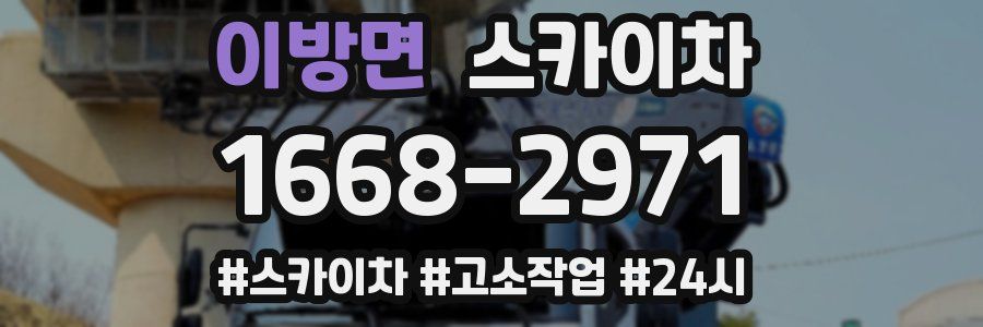 이방면 스카이차