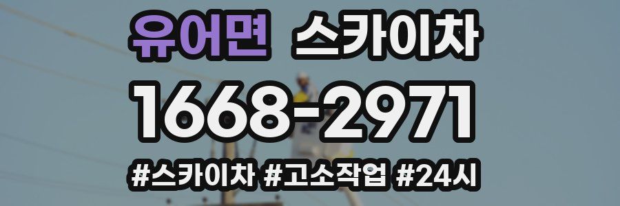 유어면 스카이차