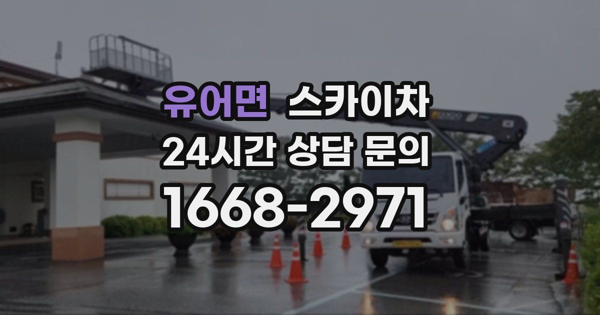 유어면 스카이차