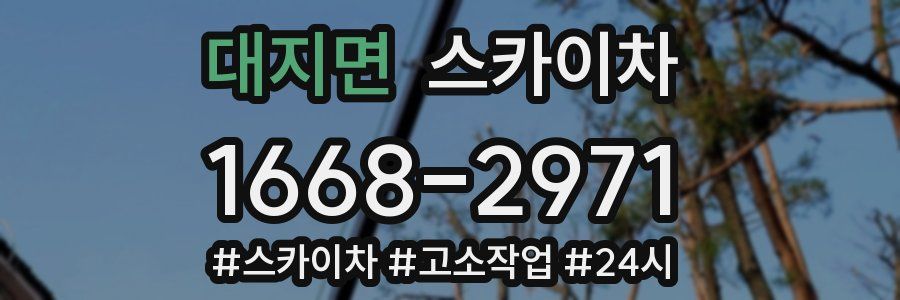 대지면 스카이차