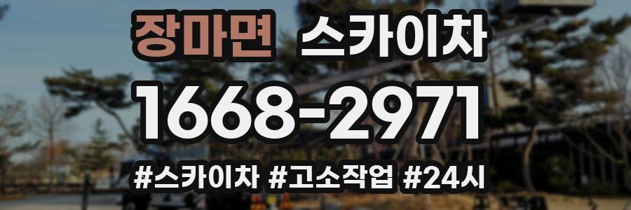 장마면 스카이차