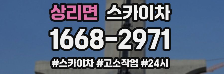 상리면 스카이차