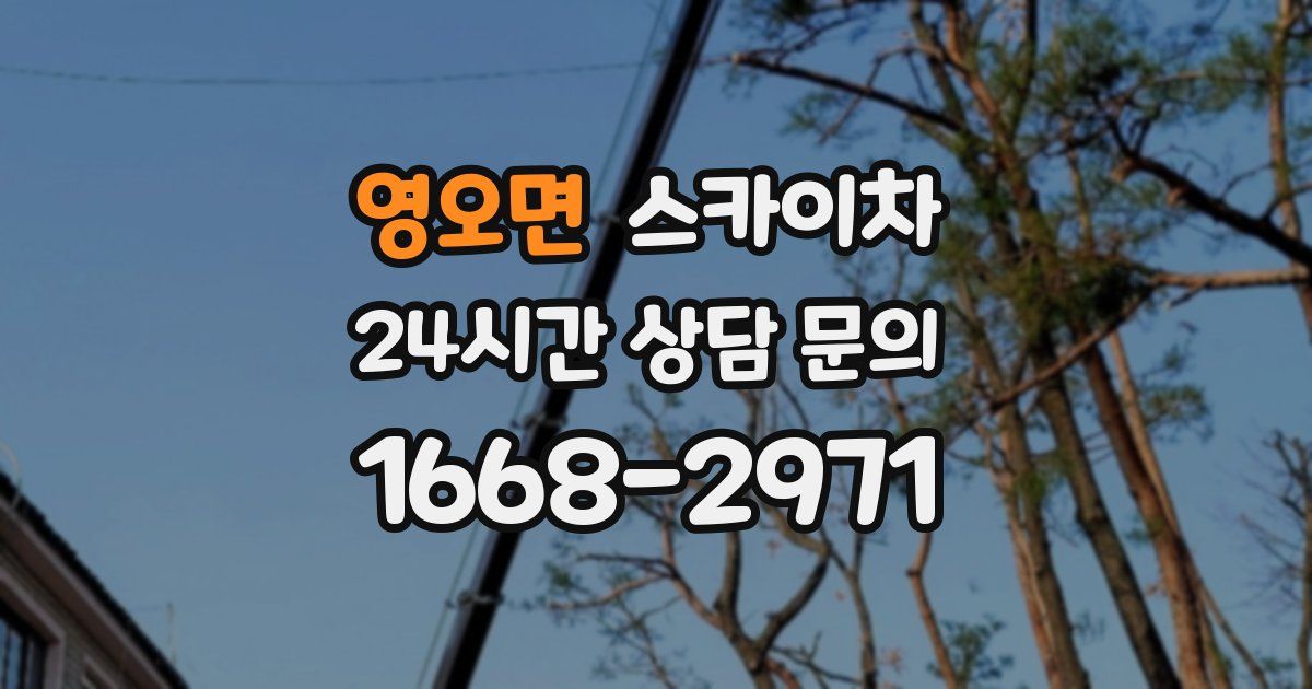 영오면 스카이차