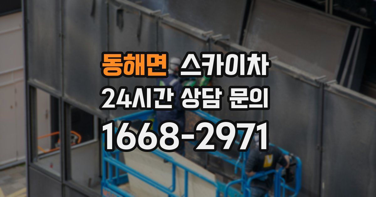 동해면 스카이차