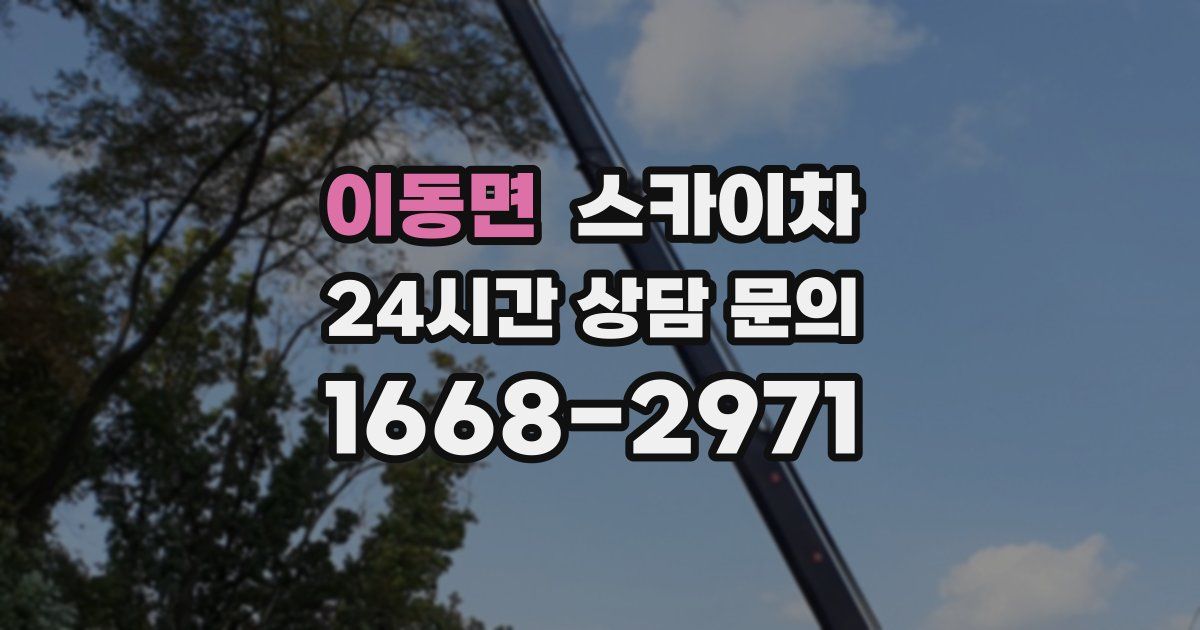 이동면 스카이차