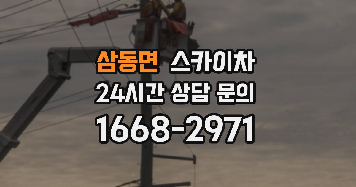 삼동면 스카이차