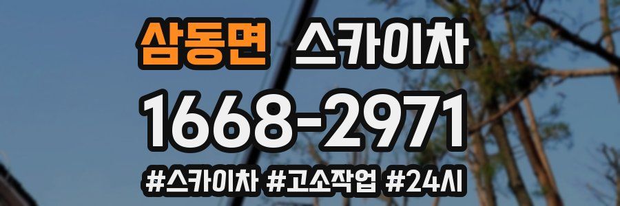 삼동면 스카이차