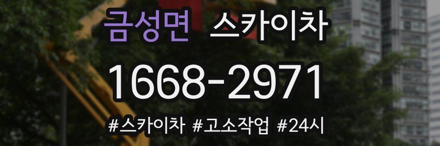 금성면 스카이차