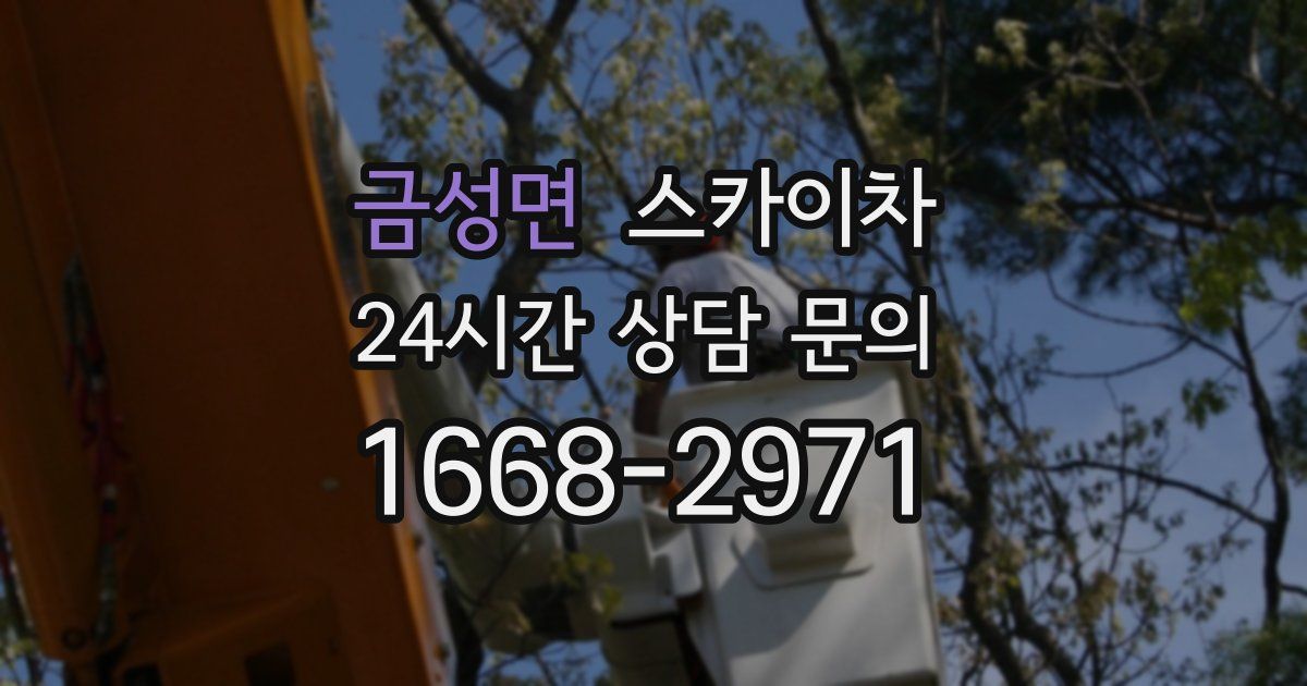 금성면 스카이차