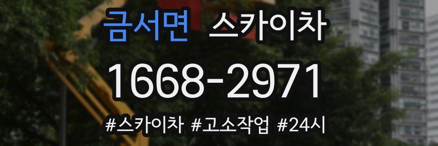 금서면 스카이차