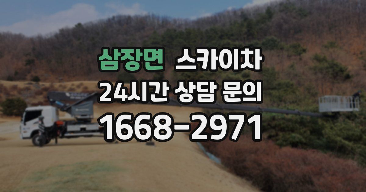 삼장면 스카이차