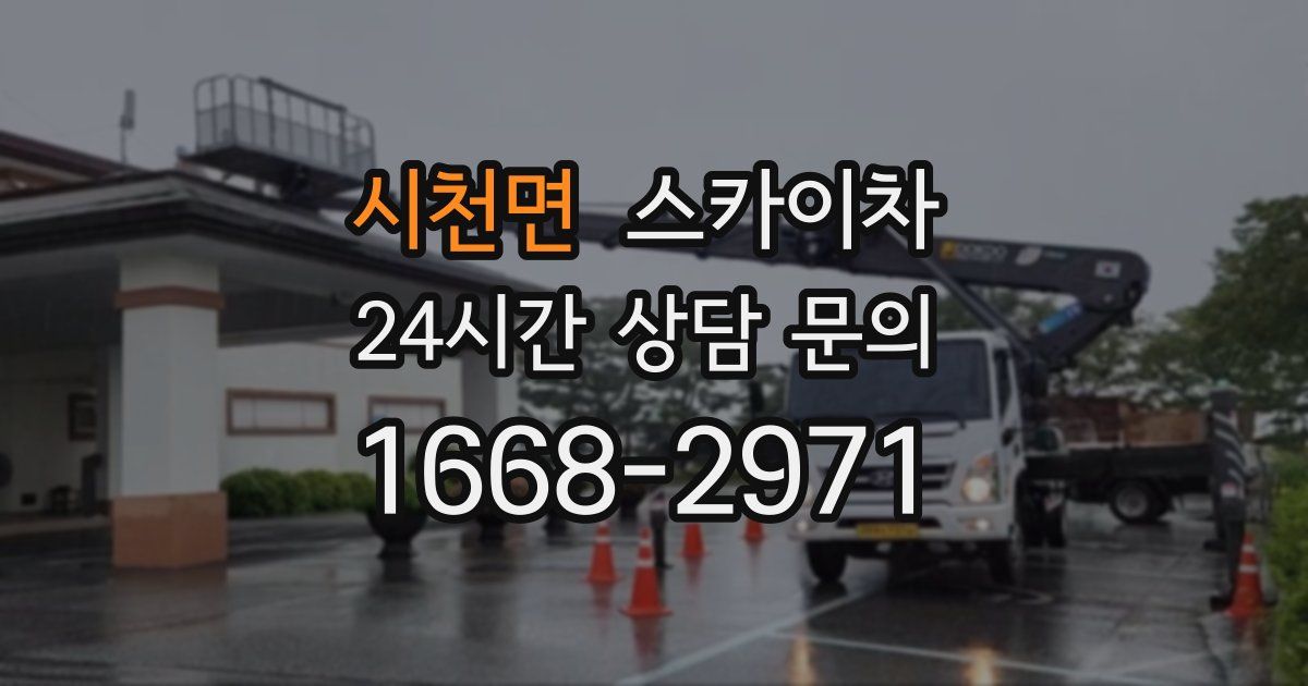 시천면 스카이차