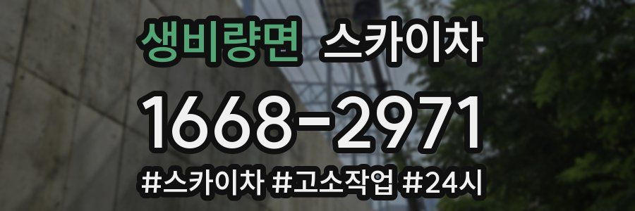 생비량면 스카이차