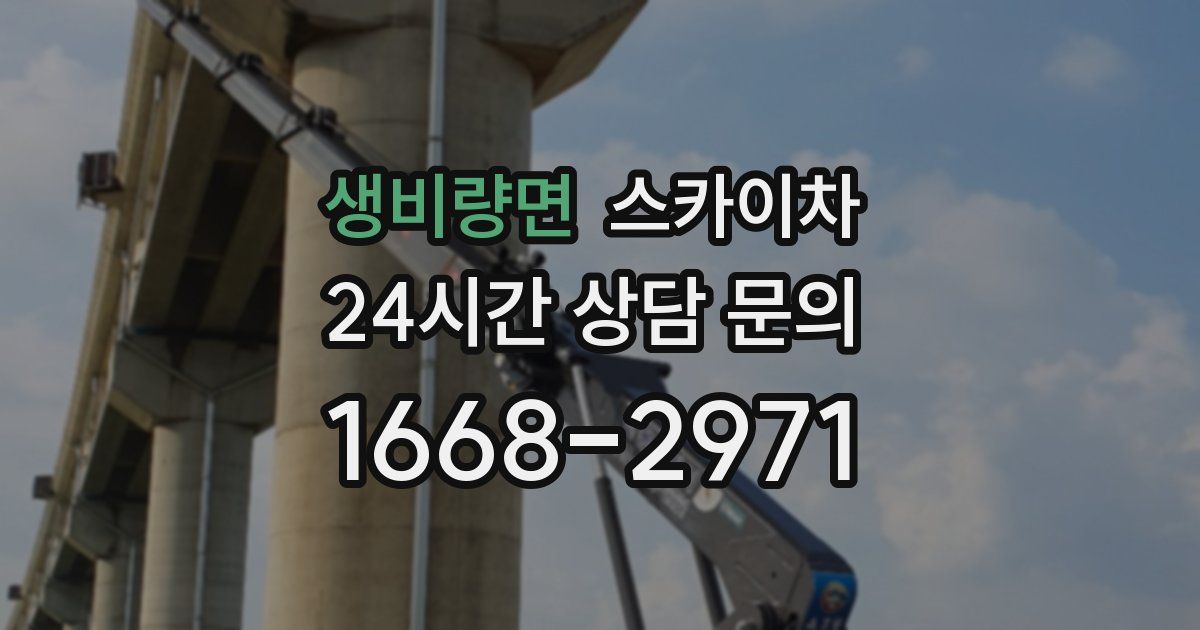 생비량면 스카이차