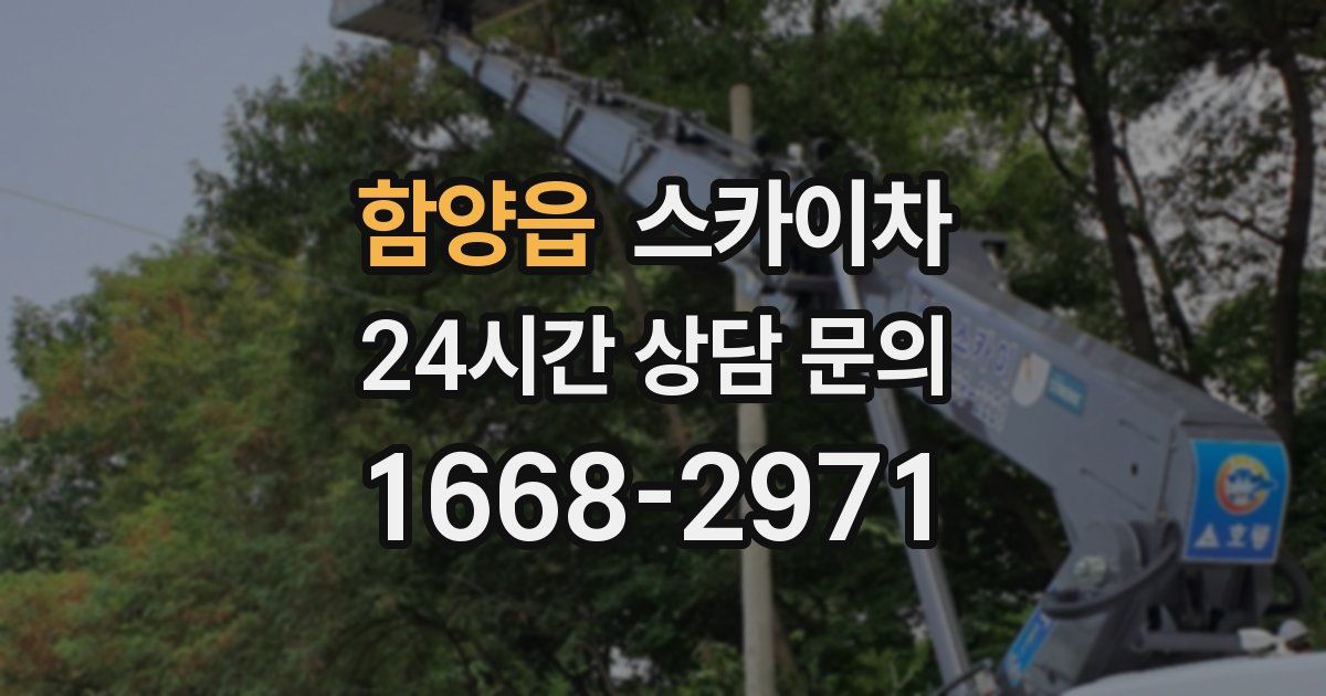 함양읍 스카이차