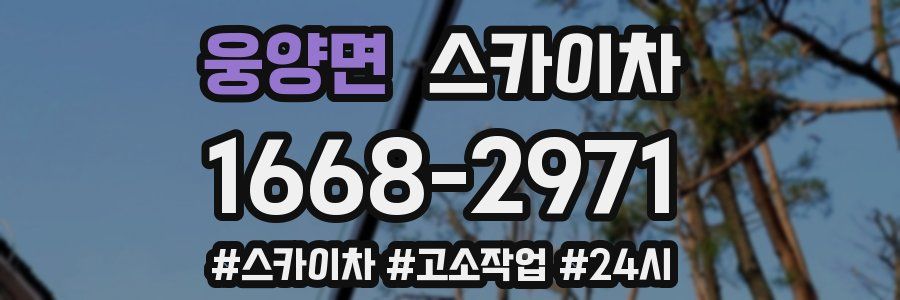 웅양면 스카이차