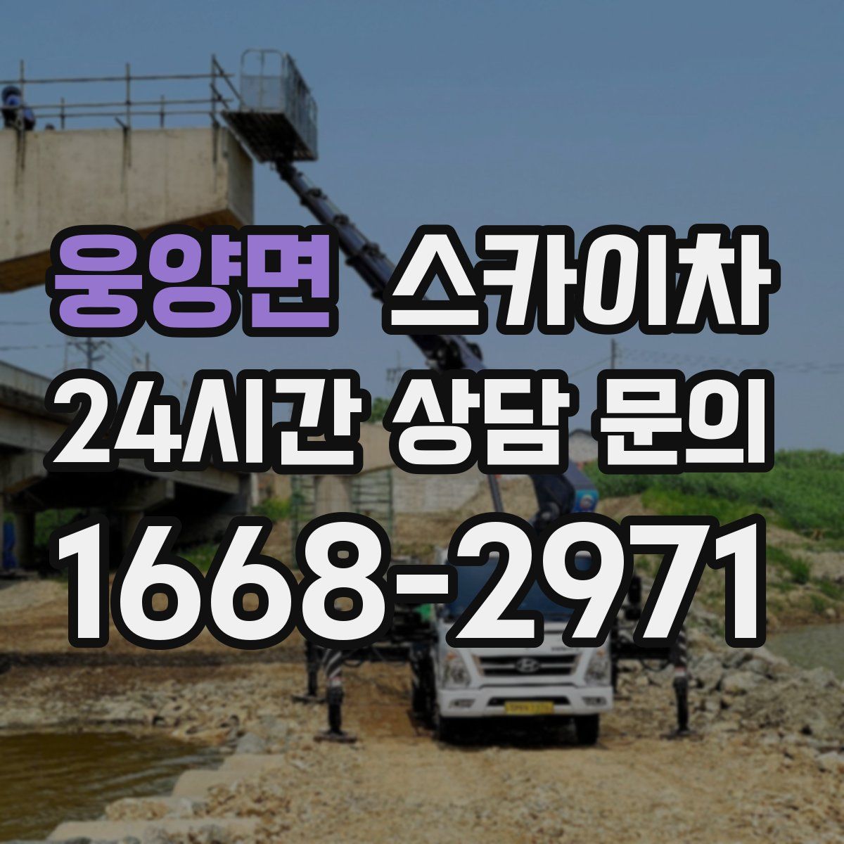 웅양면 스카이차