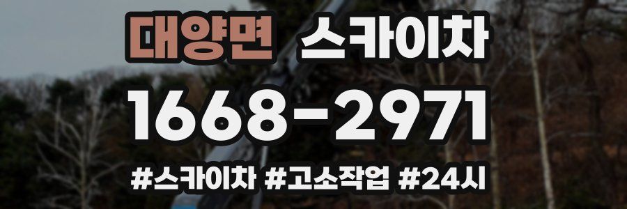 대양면 스카이차