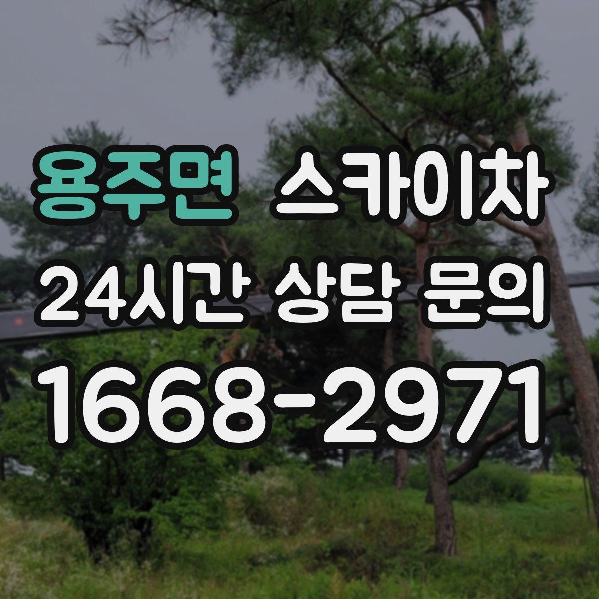 용주면 스카이차