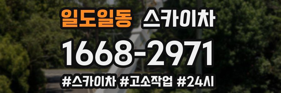 일도일동 스카이차