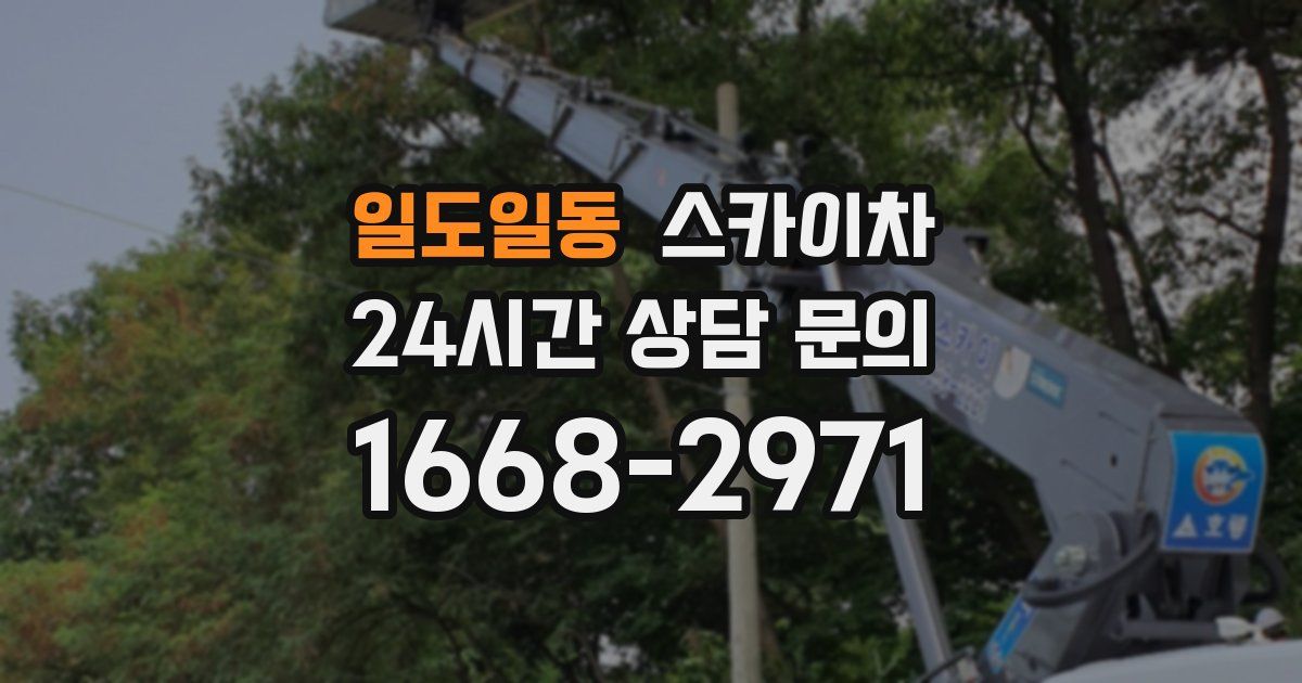 일도일동 스카이차