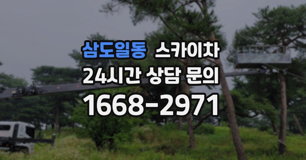 삼도일동 스카이차