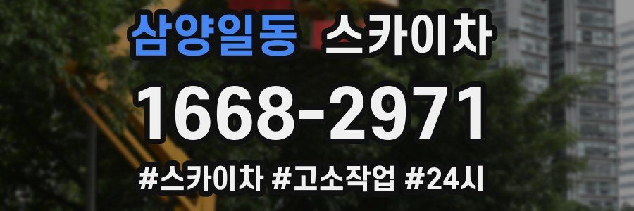 삼양일동 스카이차