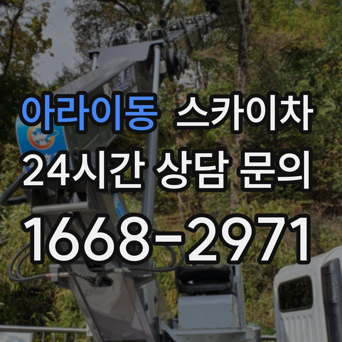 아라이동 스카이차