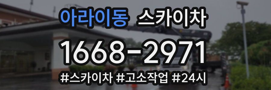 아라이동 스카이차