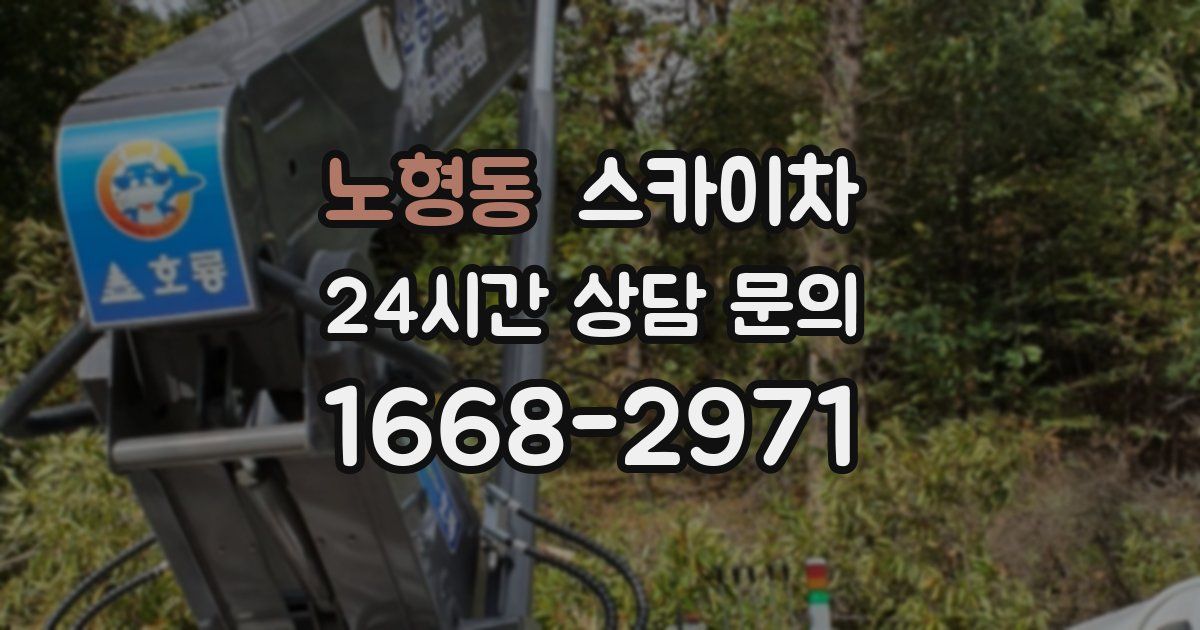 노형동 스카이차