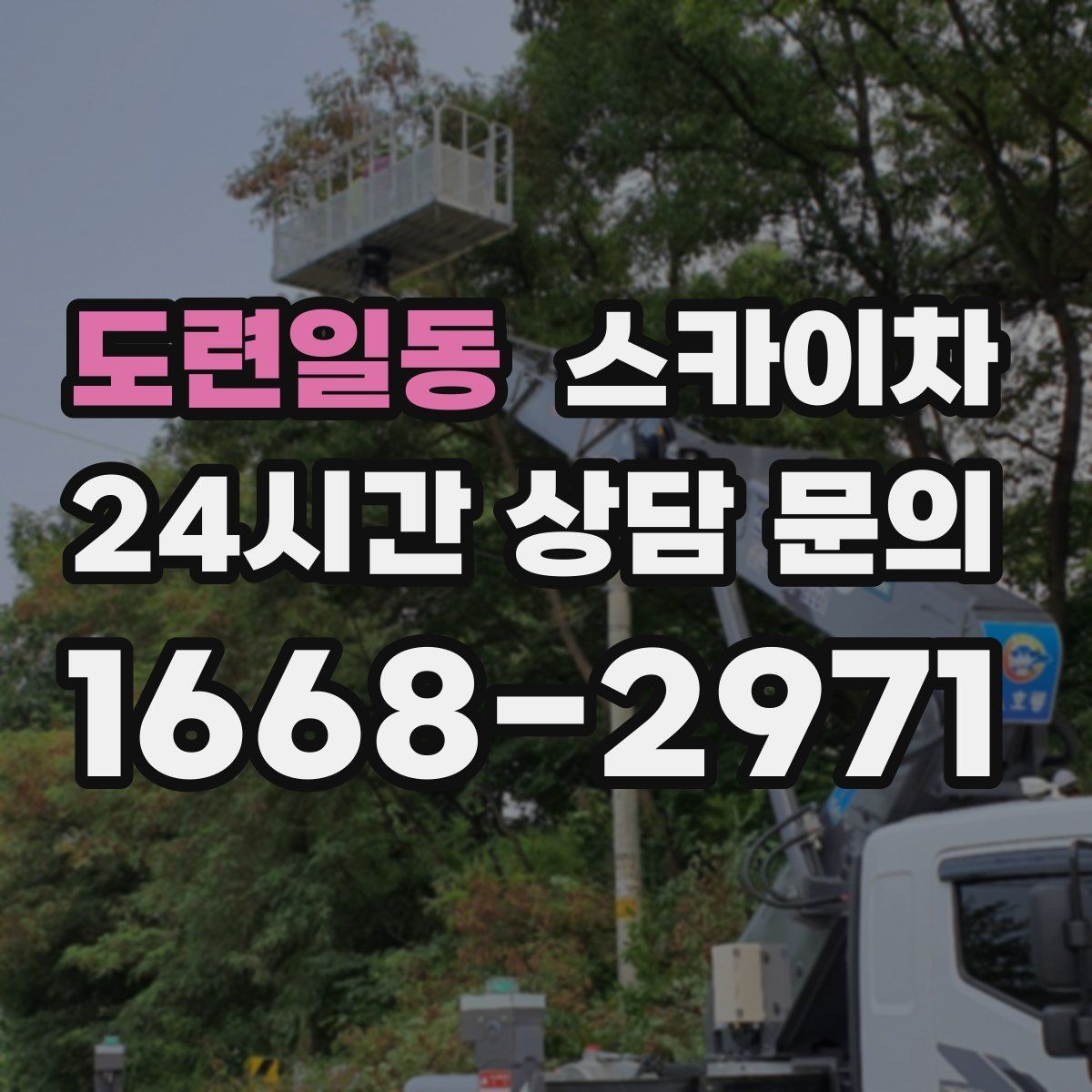 도련일동 스카이차 가로수 가지치기 작업 안전하게