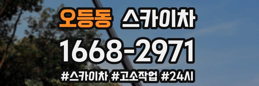 오등동 스카이차
