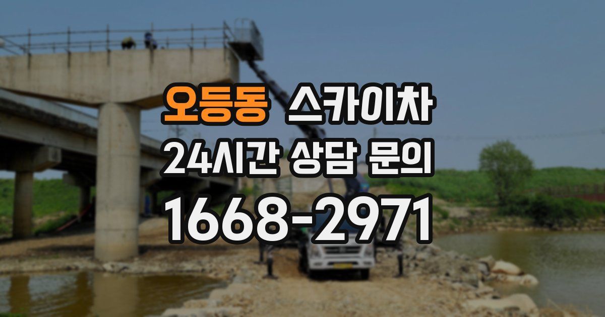 오등동 스카이차