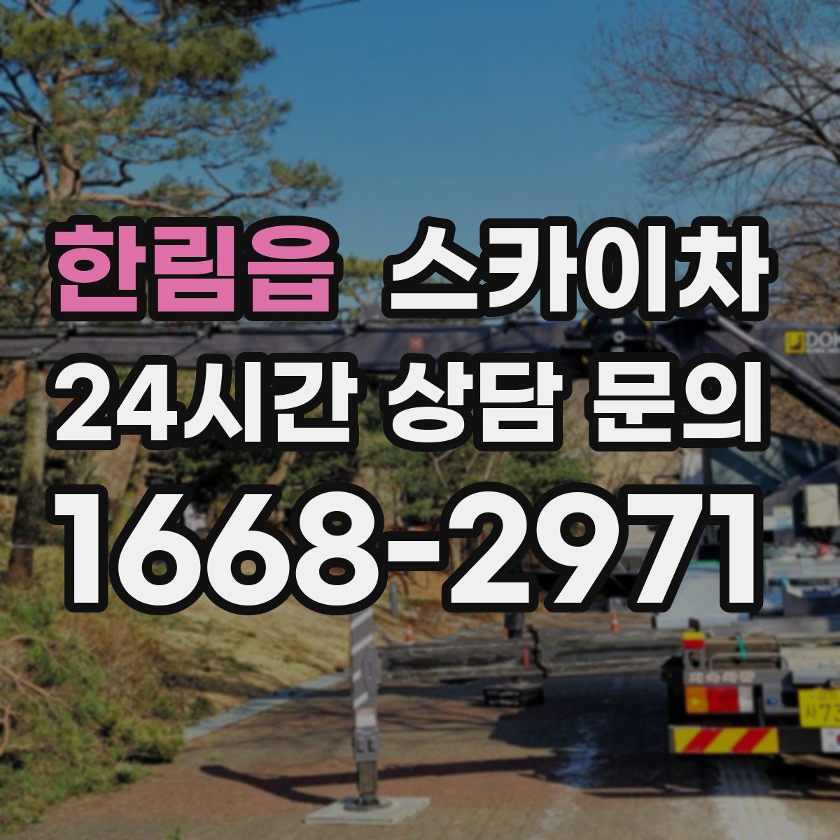 한림읍 스카이차