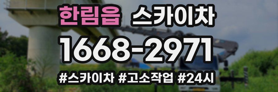 한림읍 스카이차