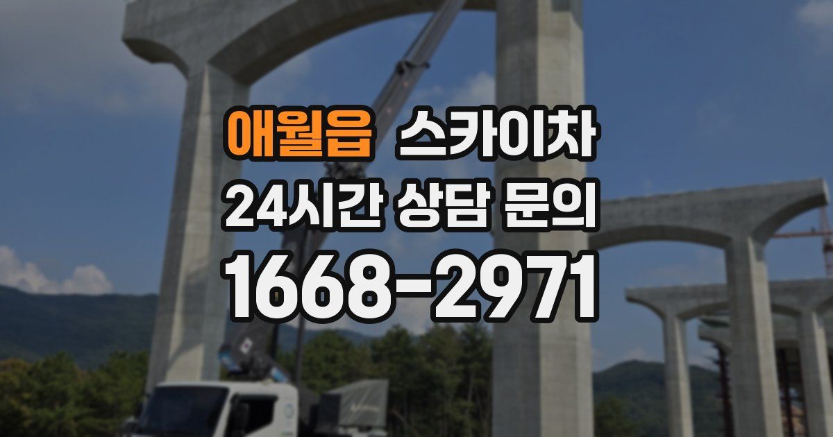 애월읍 스카이차
