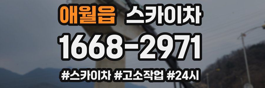 애월읍 스카이차