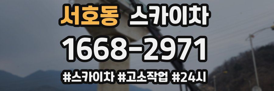 서호동 스카이차