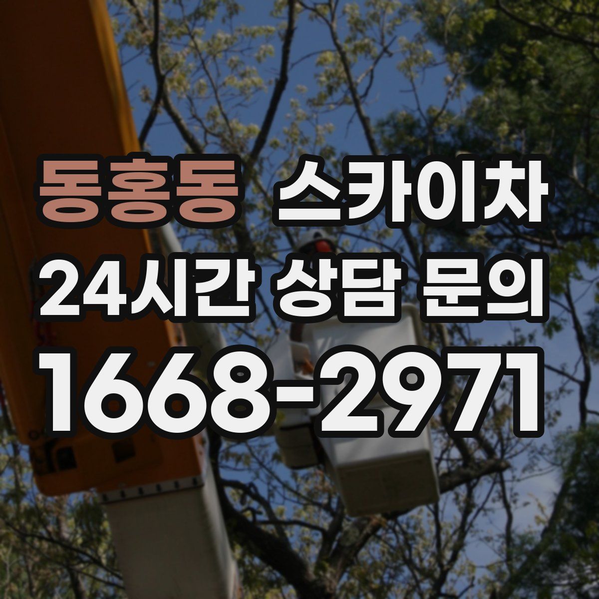 동홍동 스카이차