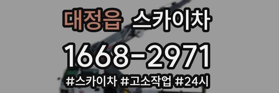 대정읍 스카이차