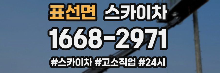 표선면 스카이차